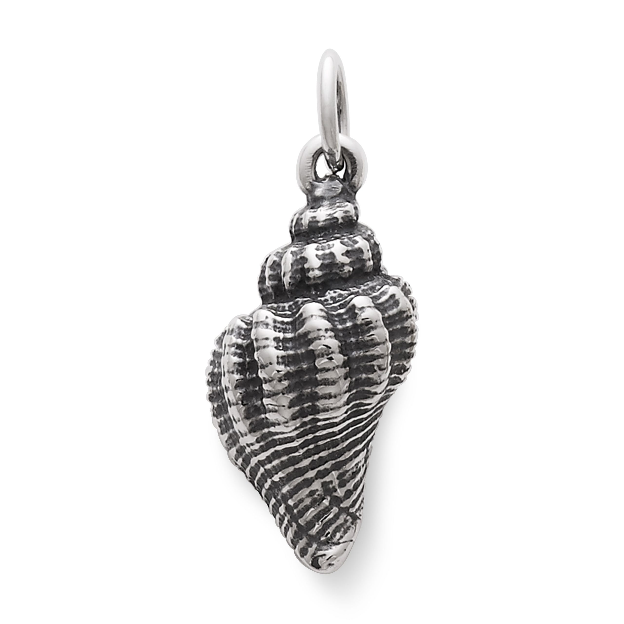 Fluted Conch Shell Charm - Image 2